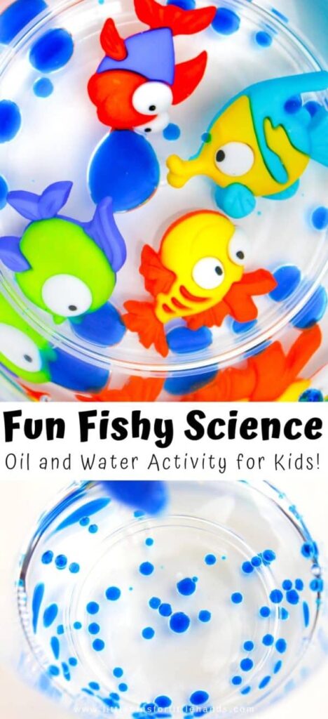 Thí nghiệm STEM về dầu và nước cho trẻ