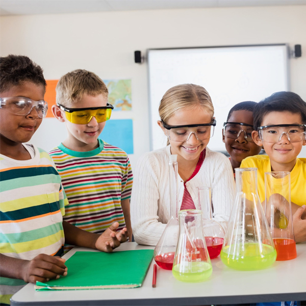 Top 5 thí nghiệm STEM plant cho trẻ