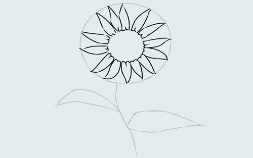 Vẽ hoa hướng dương bằng chì đơn giả