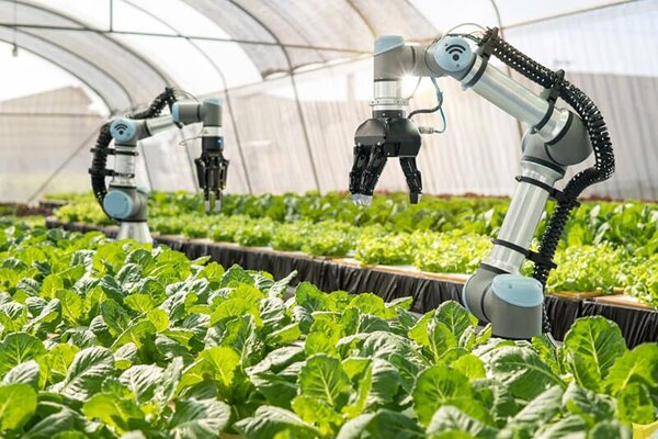 Ứng dụng IoT trong nông nghiệp - Nông nghiệp thông minh