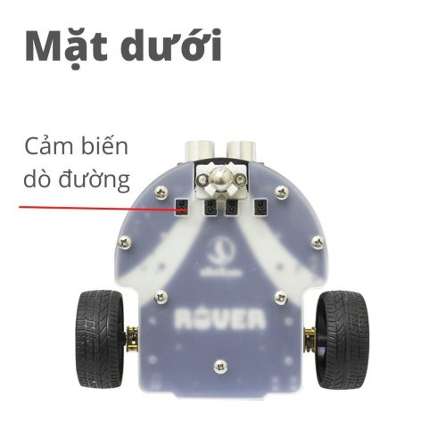 Robot STEM Rover - giáo cụ dạy học STEM và lập trình cho học sinh