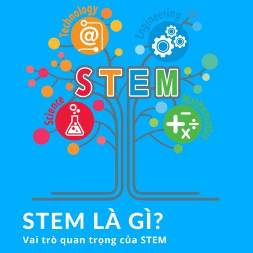 STEM là gì? Vai trò quan trọng của dạy học STEM Thiết bị giáo dục STEM