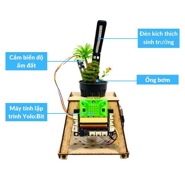 Dự án STEM chủ đề thực vật công nghệ - Chậu cây tự tưới nước