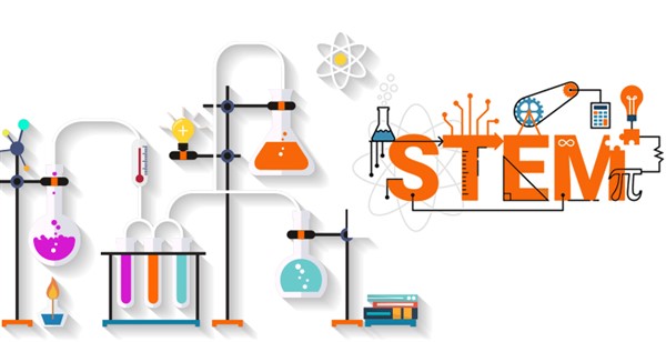 Giáo dục stem là gì