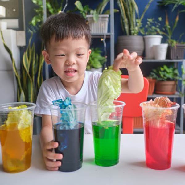 Dạy học STEM