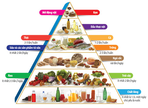 Tháp dinh dưỡng mầm non cho bé