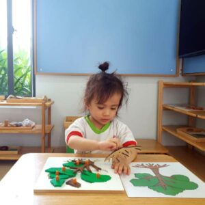 Phương pháp giáo dục mầm non Montessori