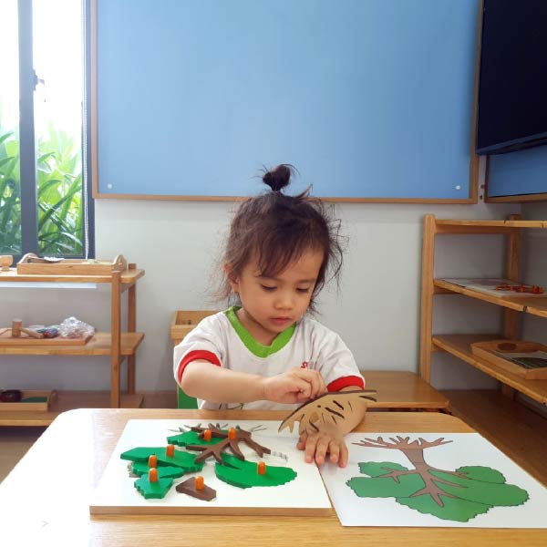 Phương pháp giáo dục mầm non Montessori