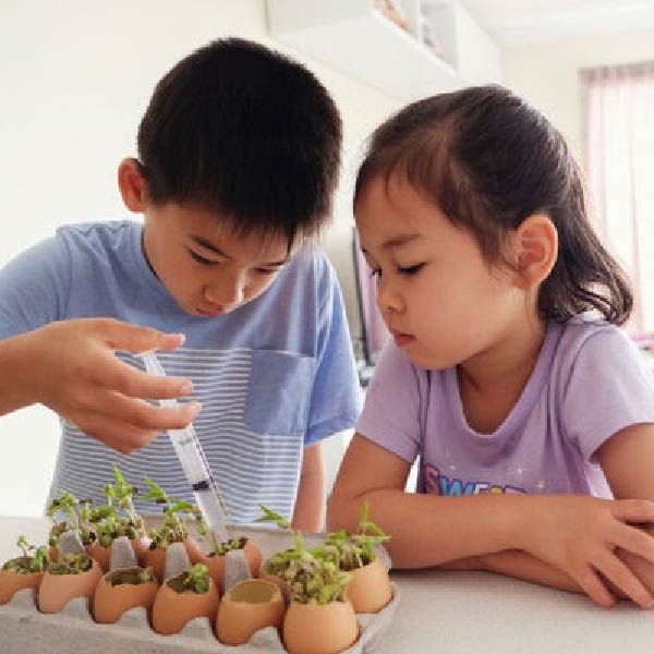 Phương pháp giáo dục Montessori là gì