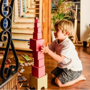 Montessori Việt Nam: Làm thế nào để áp dụng hiệu quả?