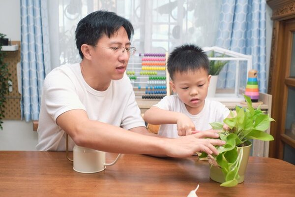Phương pháp Montessori tại nhà 