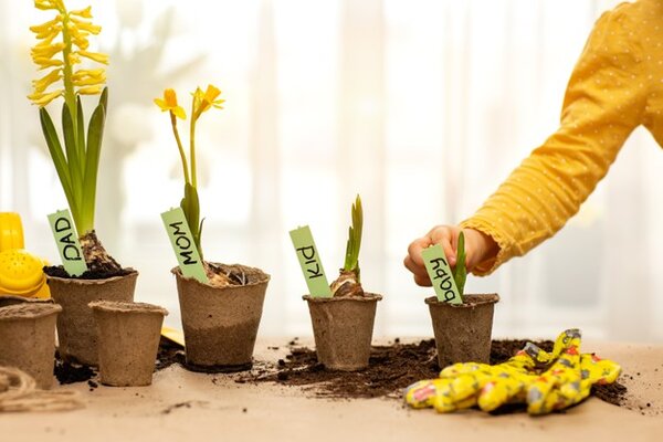 Môi trường học tập ở nhà thân thiện dành cho trẻ