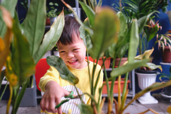 Môi trường tốt để phương pháp Montessori tại nhà được hiệu quả 
