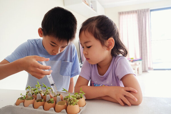 Phương pháp giáo dục Montessori là gì? Tại sao lại được ưa chuộng?