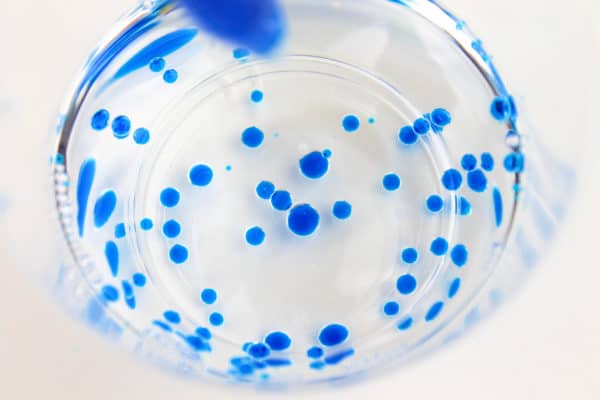 Thí nghiệm STEM về dầu và nước cho trẻ