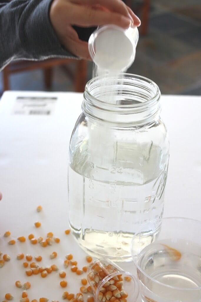 Tiến hành thí nghiệm STEM