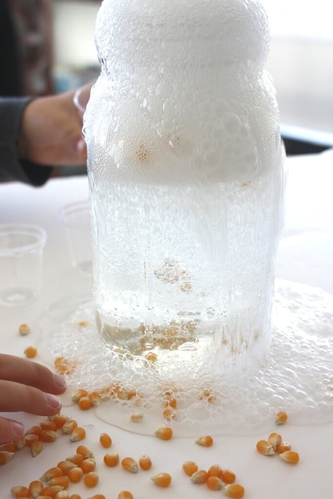Tiến hành thí nghiệm STEM