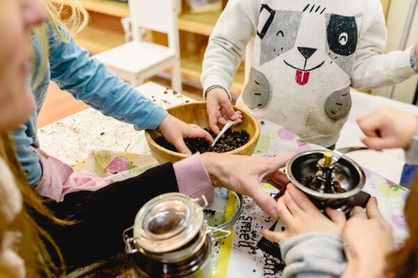 Mô hình giáo dục Montessori thúc đẩy sự khám phá 