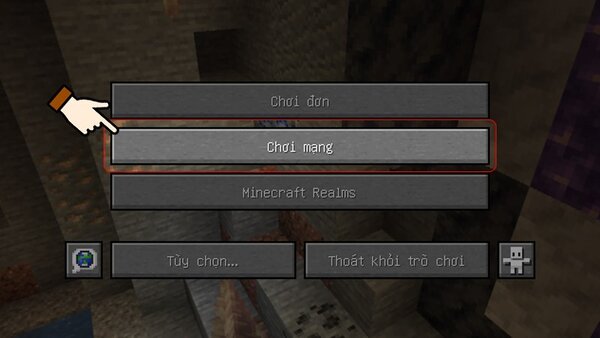 Chọn chế độ Chơi mạng (Multiplayer)