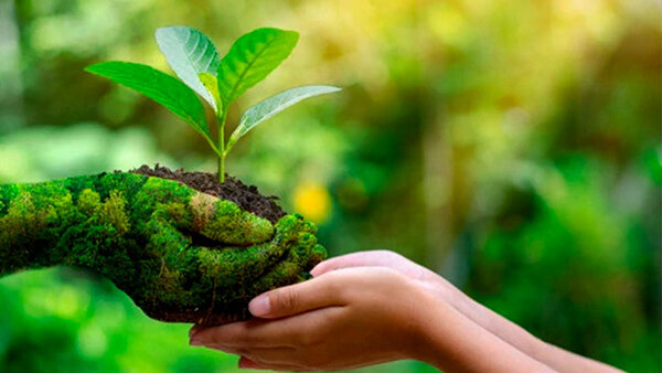 Bé chung tay bảo vệ môi trường
