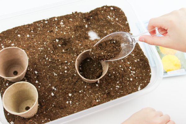 Trồng cây từ hạt - Thí nghiệm STEM Plant về sự sinh trưởng của cây