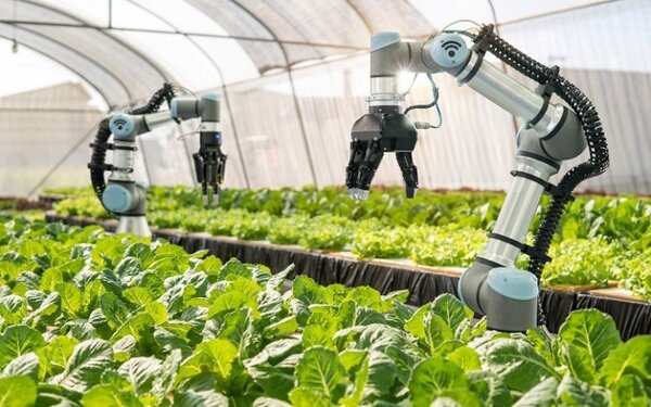 Nông nghiệp ứng dụng STEM trong tương lai 