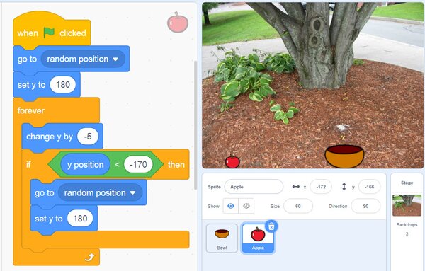 Scratch game truy tìm kho báu