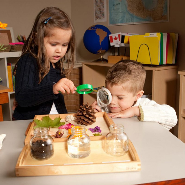 Thiết kế giáo án Montessori đạt chuẩn