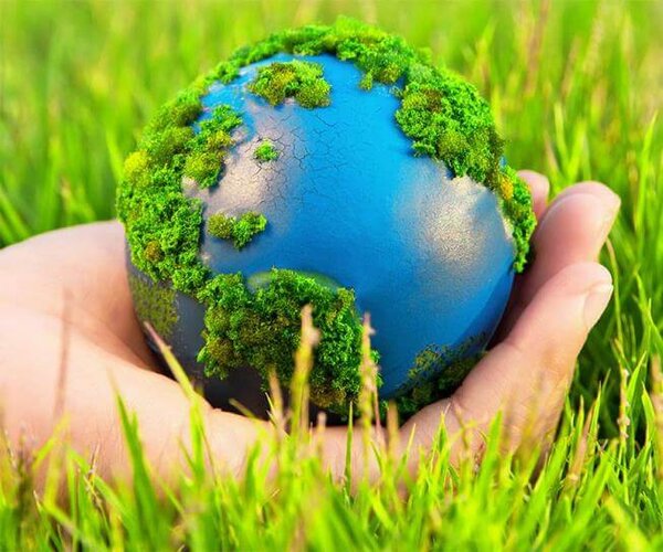 Giáo án STEM Sinh 8 giúp bé nâng cao ý thức về môi trường