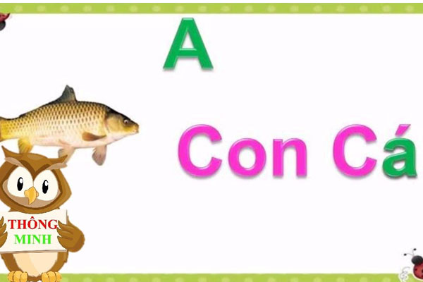 Dạy bé học bảng chữ cái Tiếng Việt sao cho hiệu quả?