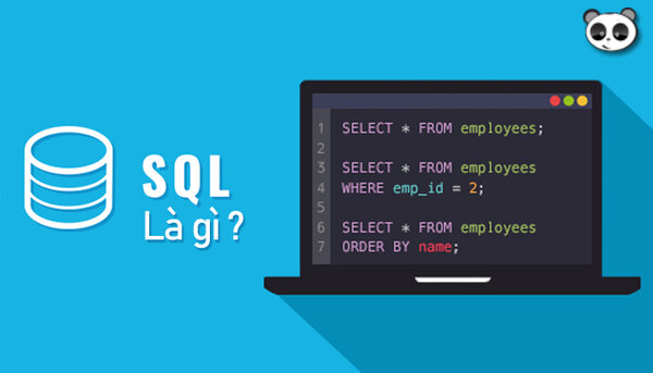 SQL là gì? Một số kiến thức cơ bản về SQL người học nên nắm vững