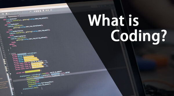 Viết code là gì? Cách để viết code đơn giản dành cho người mới bắt đầu