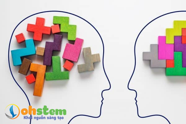 Học Toán để làm gì? Rèn tư duy đa chiều
