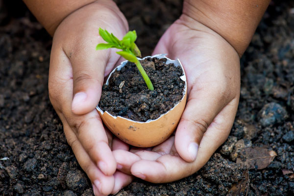 4 Điều Mọi Người Nên Biết Về Học STEM Sớm