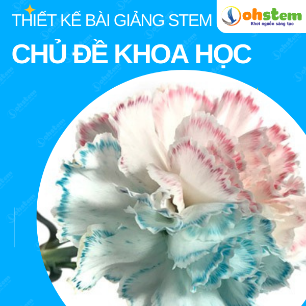 Thiết kế bài giảng STEM chủ đề khoa học