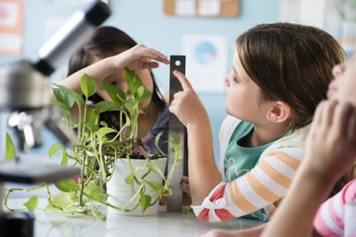 5 ví dụ về dạy học STEM ở Tiểu học có ứng dụng những vấn đề trong cuộc sống thực