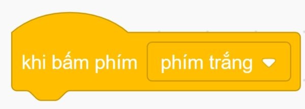 Cách lập trình Scratch với các khối lệnh cơ bản - Khi bấm phím