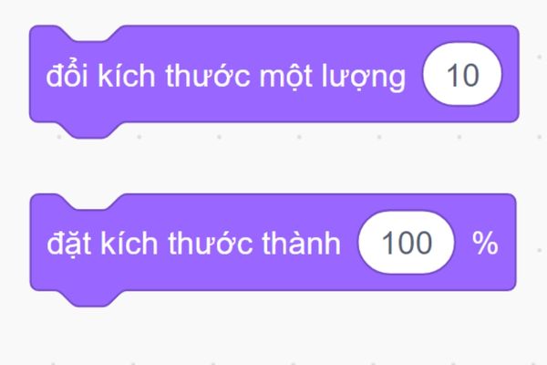 Cách lập trình Scratch với các khối lệnh cơ bản - Khối lệnh hiển thị