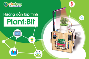 Hướng dẫn lập trình Vườn thông minh Plant:Bit