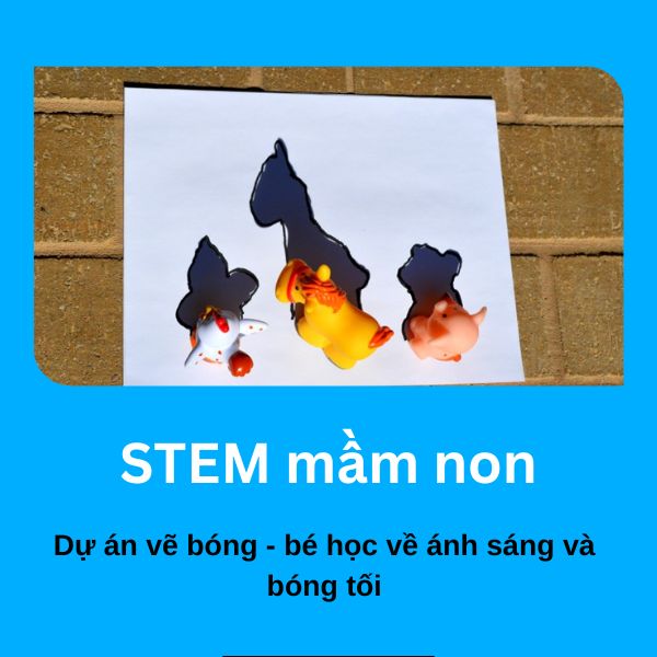 dự án STEM mầm non về vẽ bóng - Bé học về ánh sáng và bóng tối