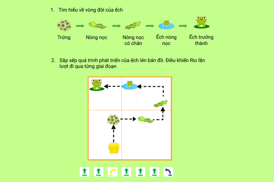 Trang mẫu trong tài liệu 40 hoạt động STEM mầm non cùng robot Rio