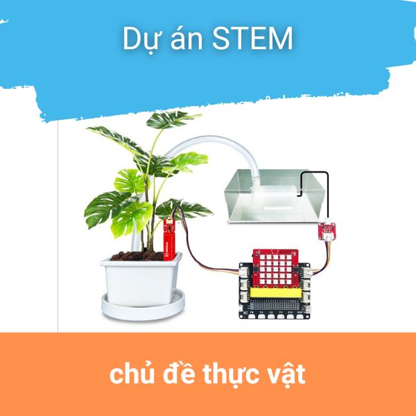 Dự án STEM chủ đề thực vật