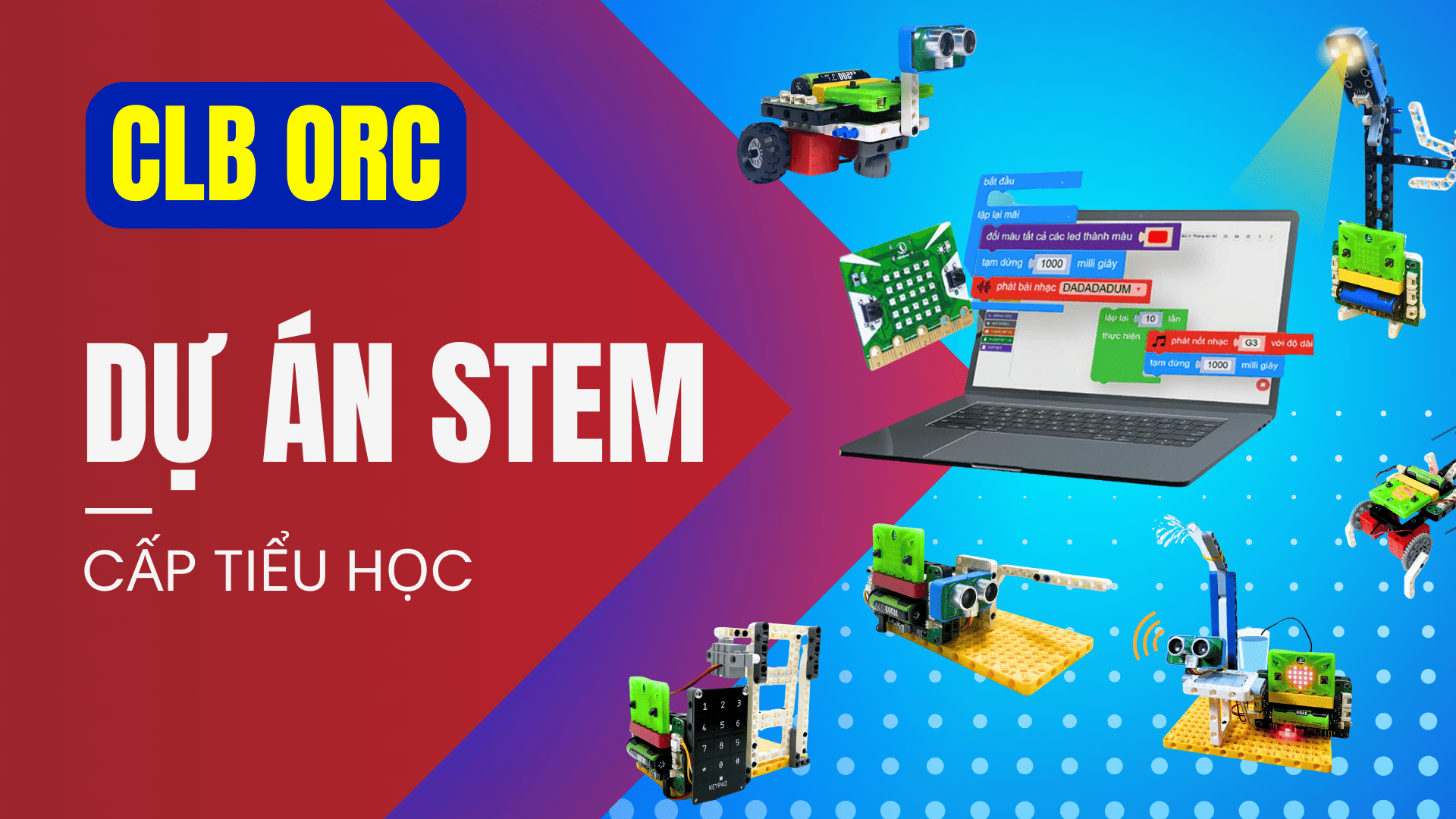 Tập huấn về dự án STEM cấp tiểu học tại CLB ORC